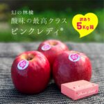 半額！幻のリンゴ「ピンクレディ」5kg訳あり箱が50%ポイントバック!!