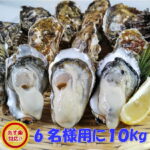 【30%ポイントバック！】連休もOK！宮城県産殻付き牡蠣10kgが衝撃価格！