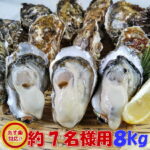 【大特価！】母の日ギフトにも！40%ポイント還元！殻付き牡蠣8kg送料無料！