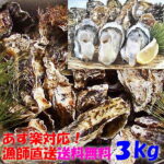 衝撃の25%ポイントバック！宮城県産殻付き牡蠣3kgが激安！