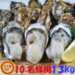 【大特価！】20%ポイントバック！宮城県産殻付き牡蠣13kg(約145粒)バーベキューに最適！